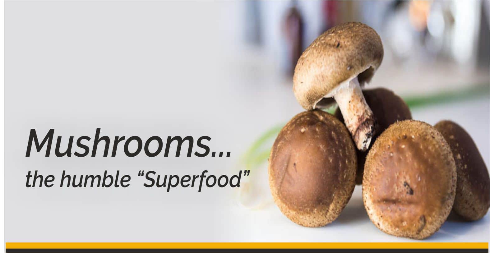 Mushrooms- the humble “Superfood”